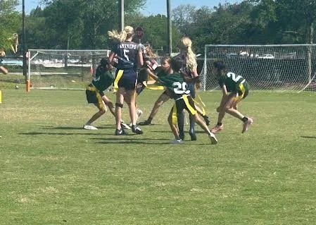 Sports field